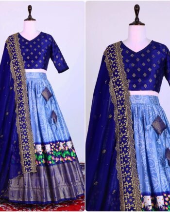 Kalamkari Lehenga Collection